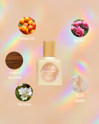 Summer Bundle