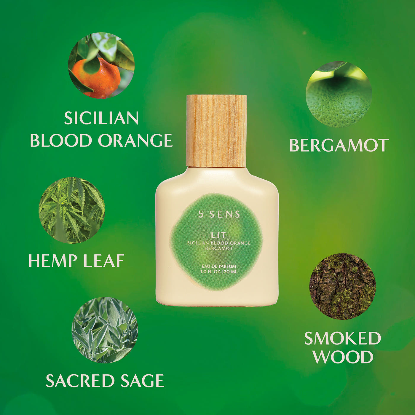 Sicilian Blood Orange, hemp leaf, and Sacred Sage ingredients in Lit EDP by 5 SENS