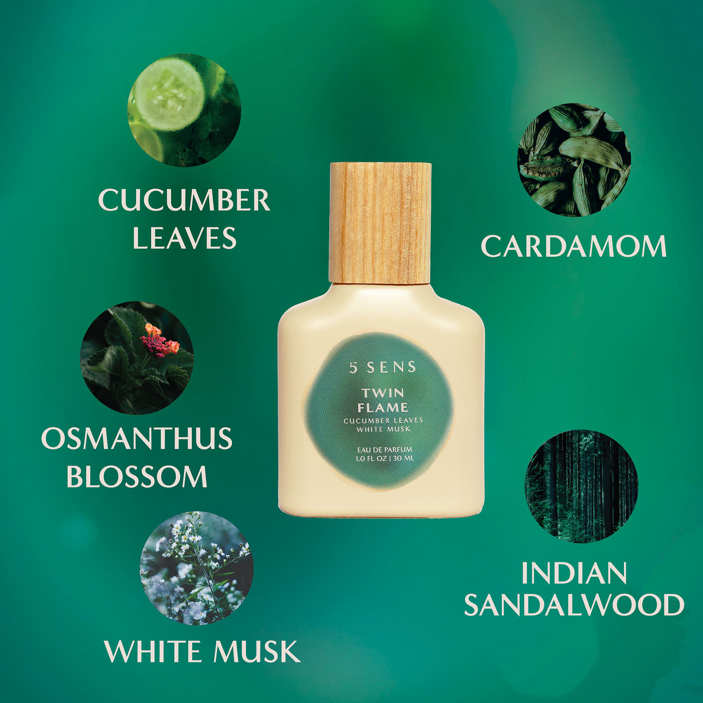 Cucumber Leaves, Indian Sandalwood, and White Musk ingredients in Twin Flame EDP by 5 SENS